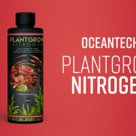 Plant Grow nitrogen -120 ml