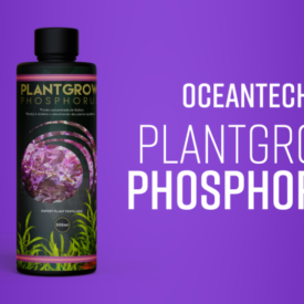 Plant Grow phosphorus -120 ml
